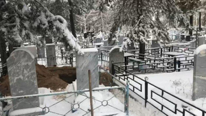 Разложенные по пакетам части тела нашли на кладбище в Тольятти
