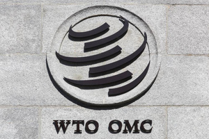 "Высекают сами себя": Сенатор Широков назвал смешными обвинения США в нарушении Россией принципов ВТО
