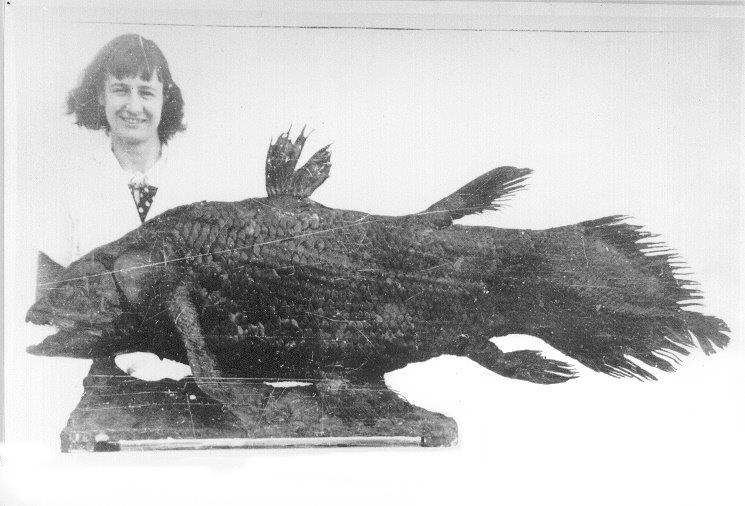 Марджори Кортни-Латимер с чучелом найденной рыбы, названной в её честь латимерией. Фото: Википедия