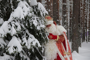 Дед Мороз не получал писем от подавшего к нему иск юриста из Петербурга