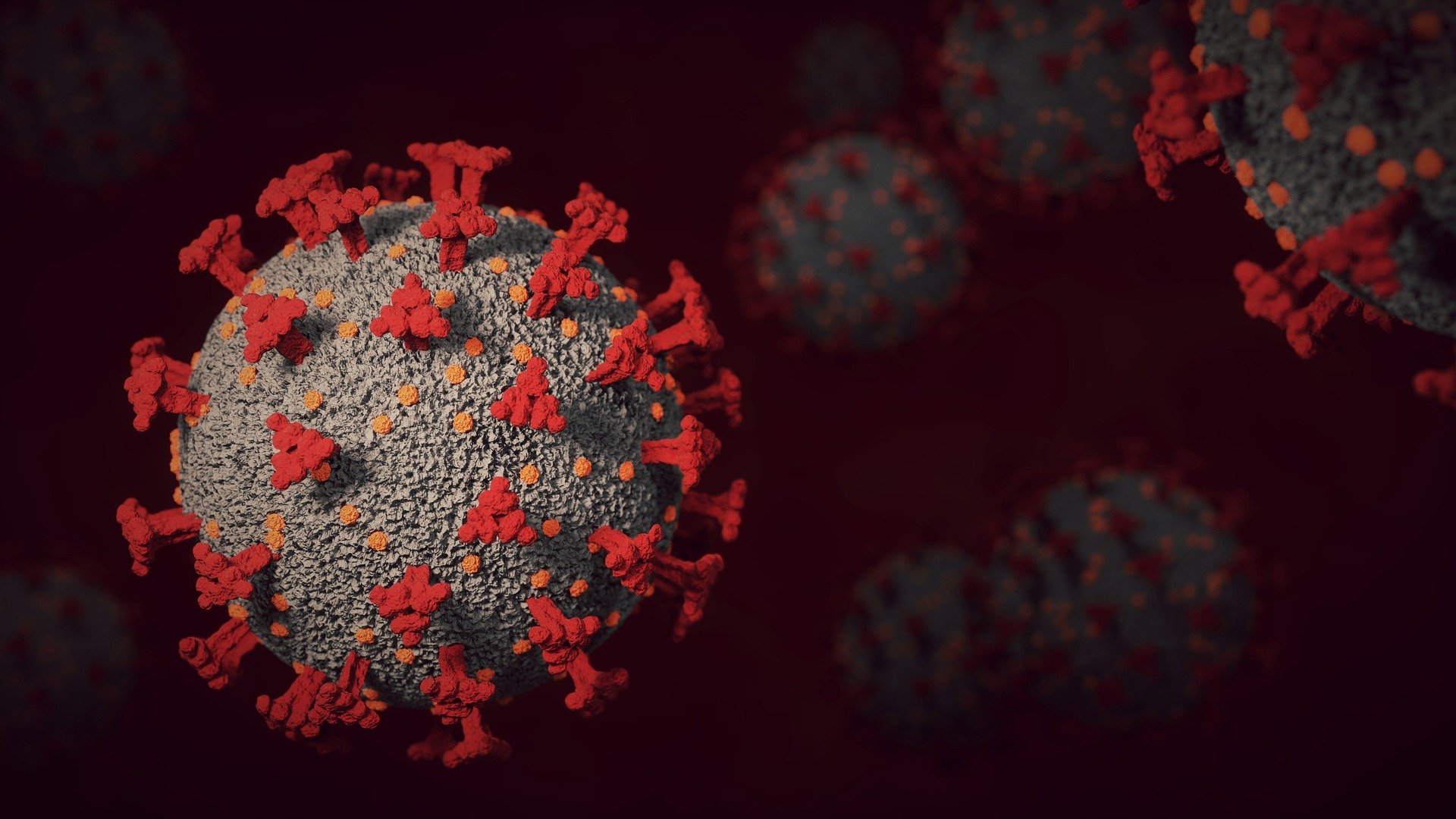 В Карелии выявлен первый случай заражения омикрон-штаммом коронавируса