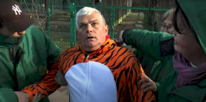 Глава зоопарка Одессы в образе тигра схватил посетительницу за ягодицы в новогоднем ролике