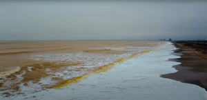 Чёрное море у берегов Крыма окрасилось в золотой цвет