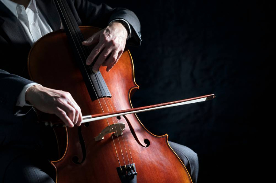 Международный день виолончелиста. Фото © Shutterstock