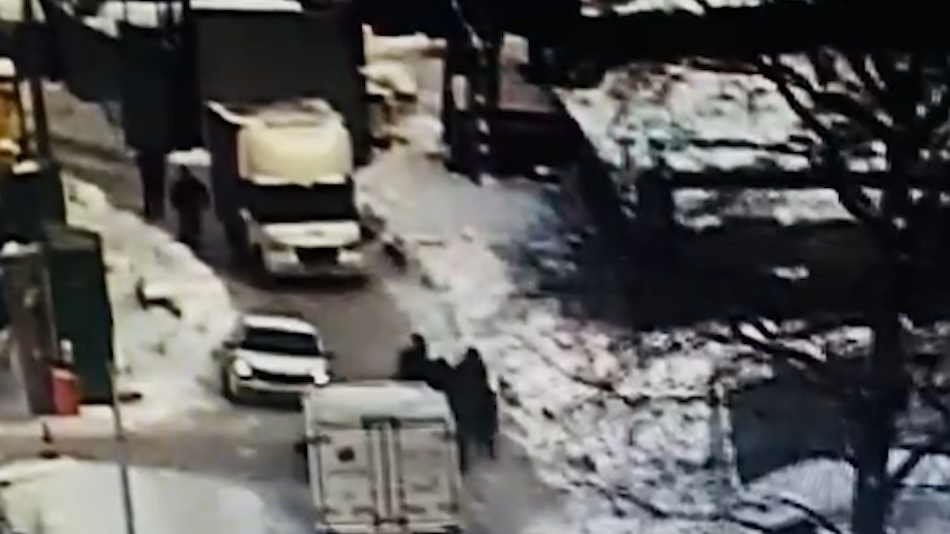 Прокуратура Москвы показала видео стрельбы у ТЦ "Принц плаза"