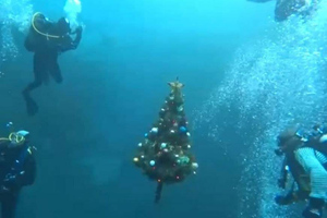 В Казани дайверы в 44-й раз установили новогоднюю ёлку на дне Голубого озера
