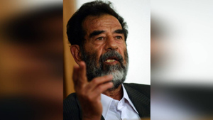Усыпляющий газ и загадочный порошок: Переводчик американских военных раскрыл уникальные детали захвата Саддама Хусейна