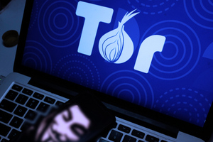 Малькевич назвал блокировку Tor важным шагом для обеспечения безопасности россиян