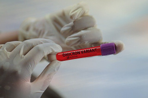 Учёные выявили способность "омикрона" проникать в организм переносчиков чумы