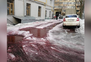 На севере Москвы жилой двор затопило кровавыми лужами, и жители в панике ищут им объяснение