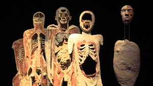 В РПЦ назвали выставку засушенных мертвецов эпатажным шоу с шок-контентом