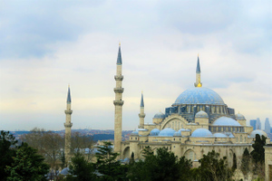 В Турции ввели электронные анкеты для въезда путешественников
