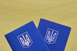 На Украине решили ввести "экономические паспорта"