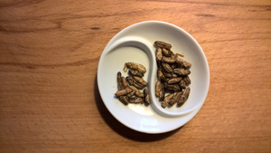 Диетолог оценила идею появления в России еды из мяса насекомых 