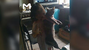 Найденная в Подмосковье девочка-маугли жила с 19 кошками и отзывалась на "кис-кис"