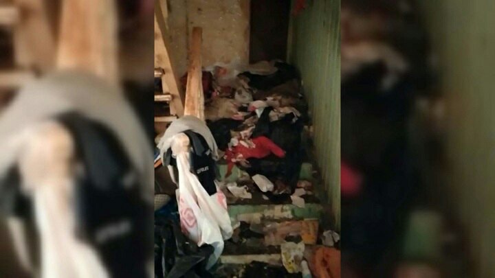 Бастрыкин взял на контроль дело о найденных в захламлённой квартире в Подмосковье сёстрах-маугли