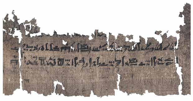 Фрагмент древнеегипетского папируса, в котором описан процесс мумификации. Фото © University of Copenhagen
