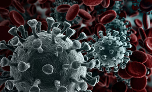 ВОЗ: Лабораторное происхождение коронавируса "крайне маловероятно"