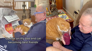 Кот окружил заботой папу хозяйки, как только понял, что у того рак — трогательное видео о дружбе
