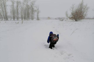 В селе под Омском дети вынуждены ползти до школы по огромным сугробам