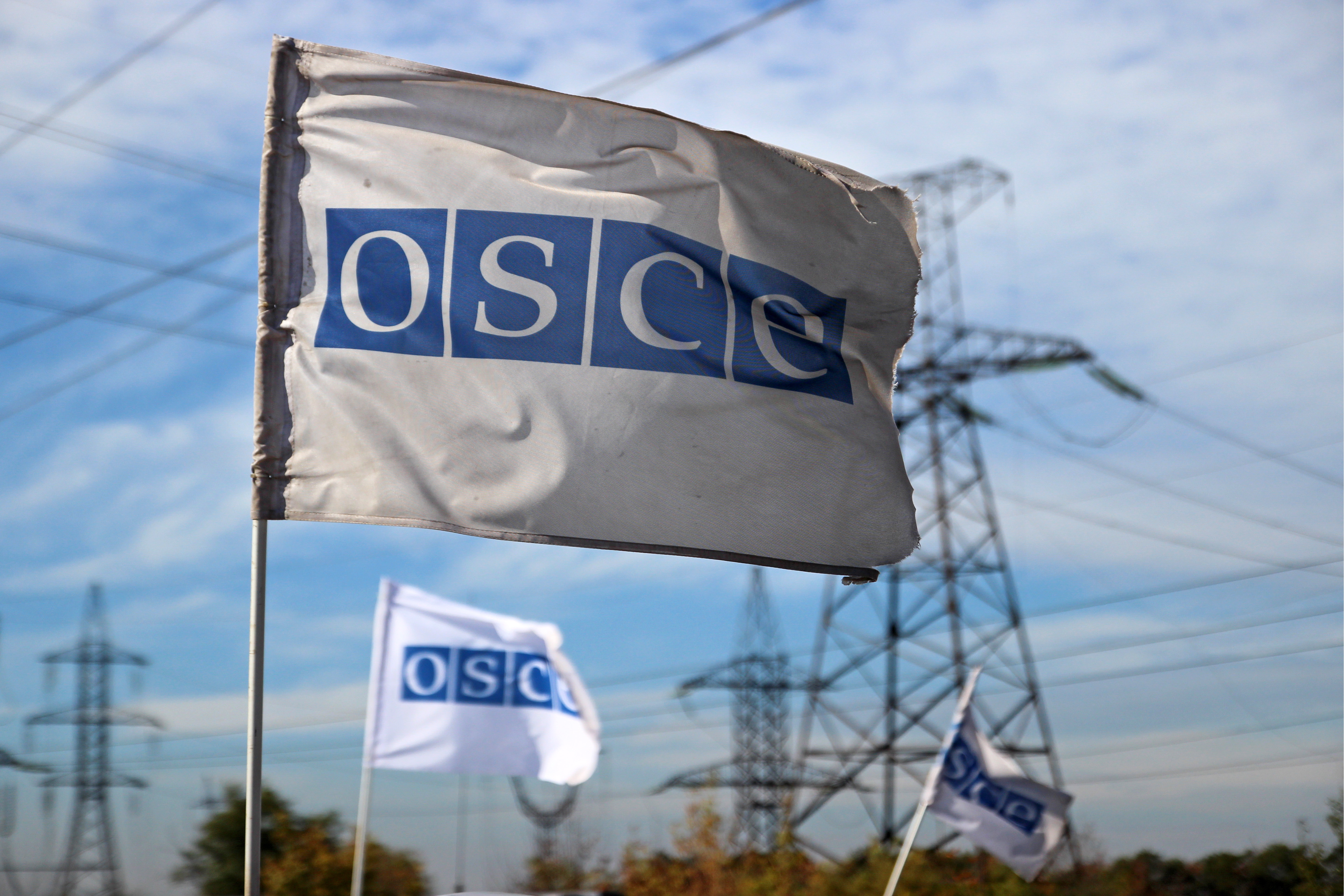 Украинская делегация попыталась выгнать крымчан с онлайн-совещания ОБСЕ