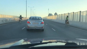 В Зеленограде две всадницы на лошадях пронеслись по трассе наперегонки с машинами — видео
