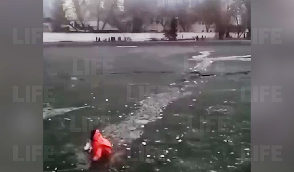 Парень утонул в пруду на северо-востоке Москвы, бросившись на помощь щенку — видео