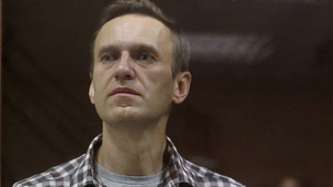 ПАСЕ приняла резолюцию по Навальному, но Россия не будет её выполнять