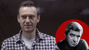 Вялый хобот "Белого слона" и эксперты ордена Навального: кто насильно раздаёт кинопремии в составе жюри  