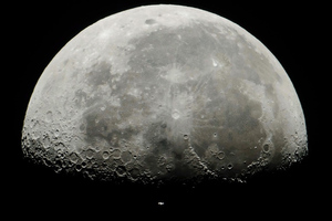 Компания Маска выиграла контракт NASA по полётам на Луну