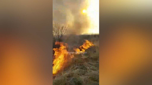 Горят кресты и могилы: в Нижегородской области мощный природный пожар охватил кладбище — видео