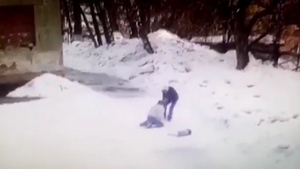Схватил за волосы и повалил на снег: в Новосибирске мужчина с ножом прямо под камерами школы ограбил девочку — видео