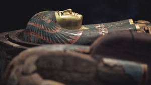 33 зуба, лишний позвонок и топор в спине: тайна египетской мумии раскрыта спустя почти два века