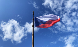 Чехия предложила НАТО выступить с совместным заявлением по России