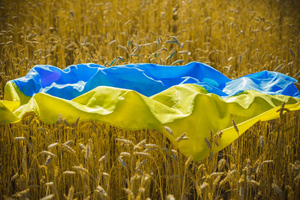 "Не о чем разговаривать": Политолог объяснил, почему Украину не пригласили на климатический саммит