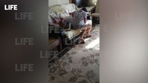 Подмосковная горе-мать попыталась подушкой задушить дочь, мешавшую отдыхать — видео