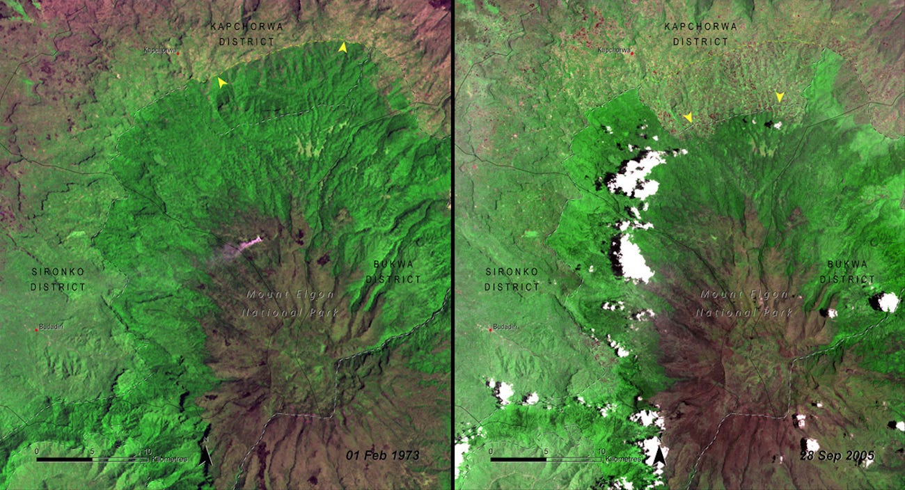 Фото © NASA