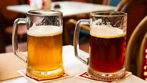 Оценён ущерб для российского рынка пива в случае запрета на импорт из Чехии