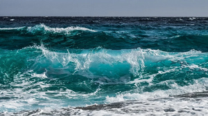 В Мировом океане обнаружено 300 новых мёртвых зон