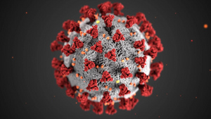 В России обнаружили более 16 тысяч мутаций коронавируса