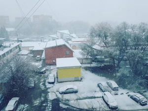 Снег и туман: на Подмосковье обрушился "декабрель"