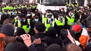 В Лондоне прошли масштабные демонстрации, задержано более 20 человек — видео