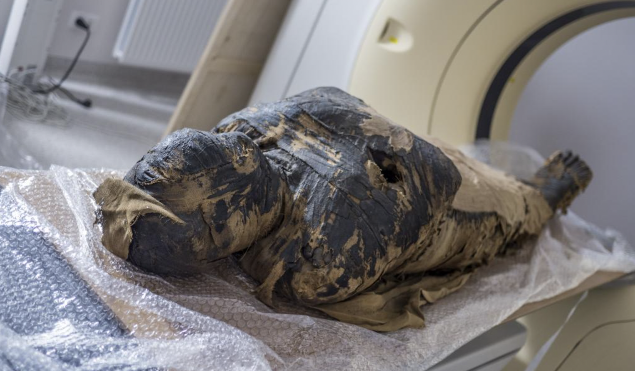 Семимесячный плод в саркофаге: впервые в истории найдена мумия беременной  женщины — фото