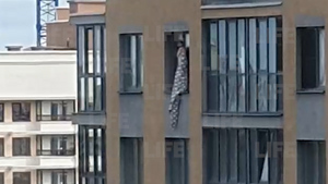 В Екатеринбурге девочке пришлось спасаться от пожара на карнизе 17-го этажа