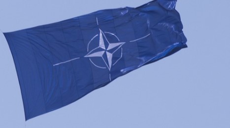 Белый дом объяснил, кто будет принимать решение о вступлении Украины в НАТО