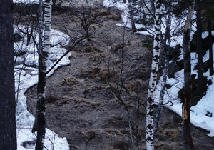 Бурный поток со снегом, льдом и брёвнами: очевидцы засняли эпичное вскрытие реки в Алтайском крае