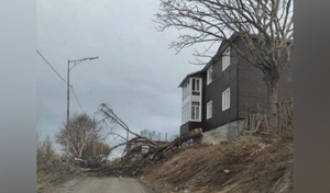 Сорванные крыши, поваленные деревья: на Петропавловск-Камчатский обрушился ураганный ветер