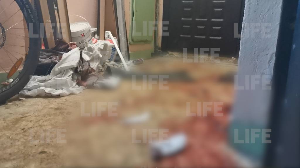 Падала мебель, женщины кричали: Соседи рассказали о поножовщине с участием звезды Пацанок Милас