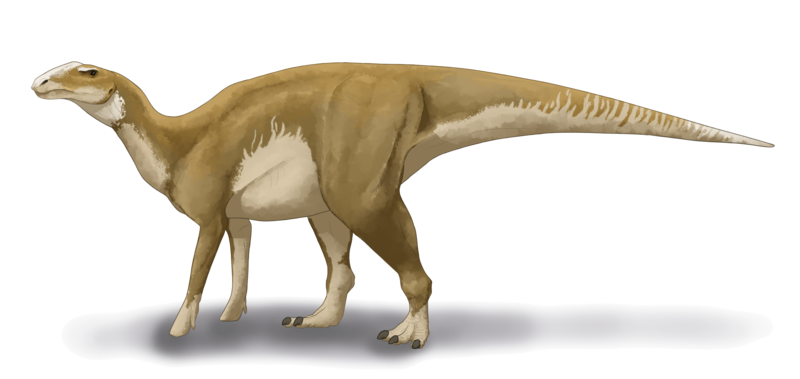 Реконструкция внешнего облика гадрозавра. Фото © Wikipedia