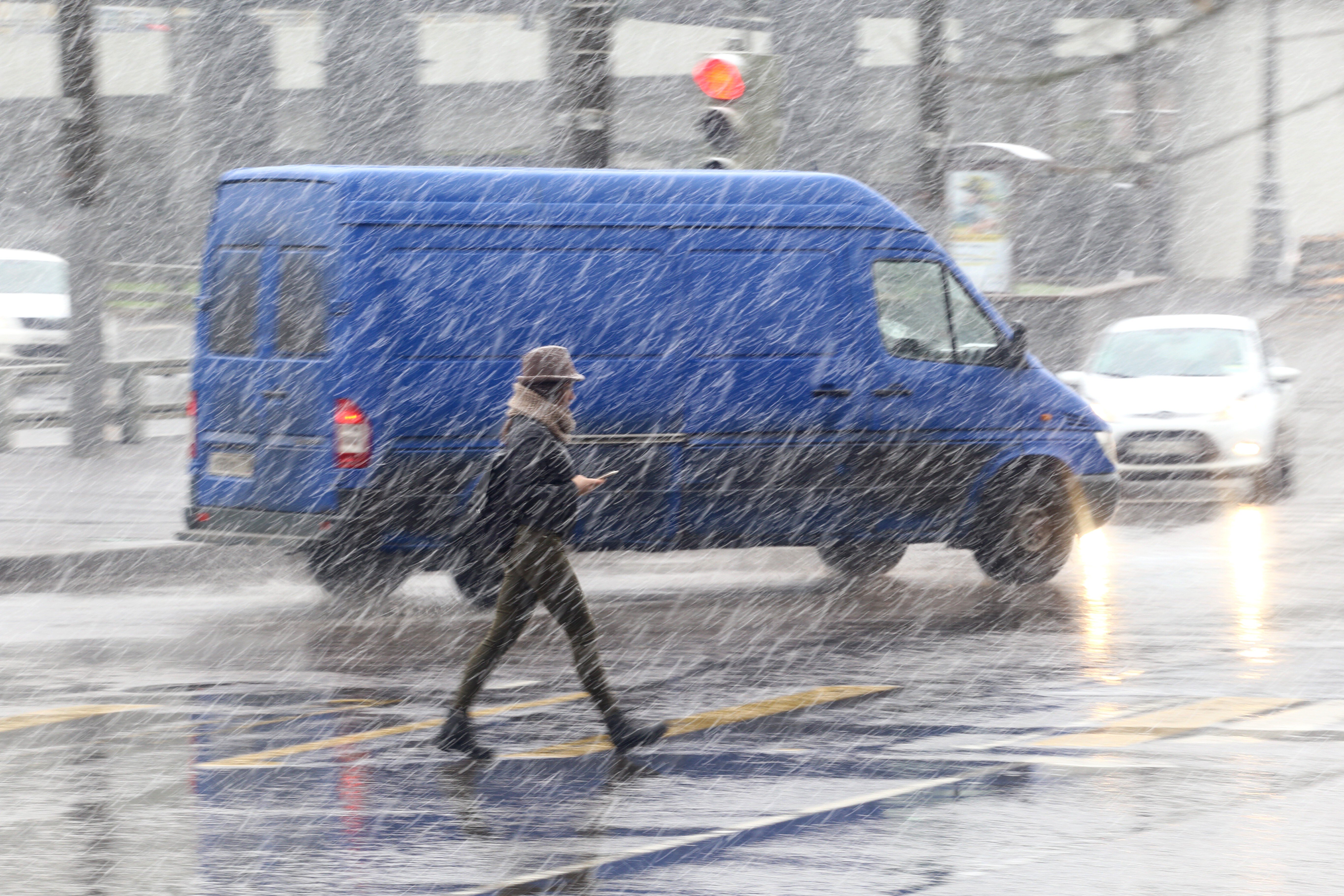 В Москве и области объявили жёлтый уровень опасности из-за штормового ветра и ливня
